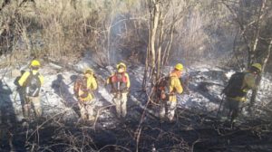 Incendio en el parque nacional Noel Kempff controlado al 80%