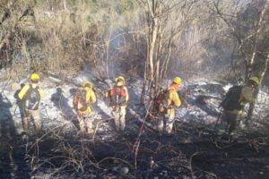 Incendio en el parque nacional Noel Kempff controlado al 80%