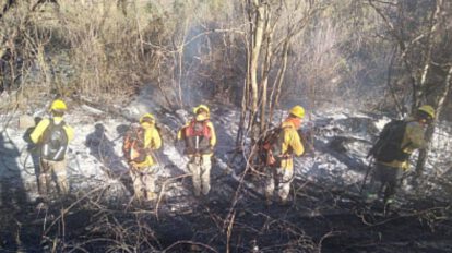 Incendio en el parque nacional Noel Kempff controlado al 80%
