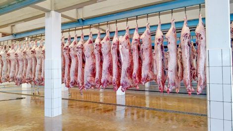 Crisis cárnica en Sucre