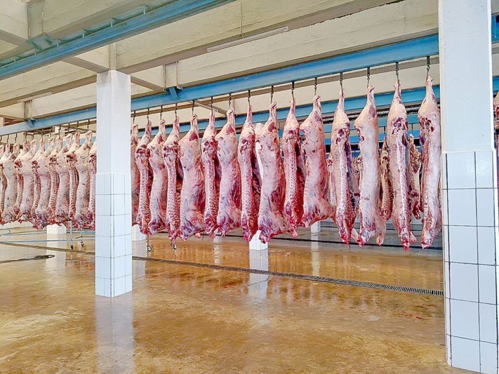 Crisis cárnica en Sucre