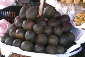 Controles ante palta peruana contaminada
