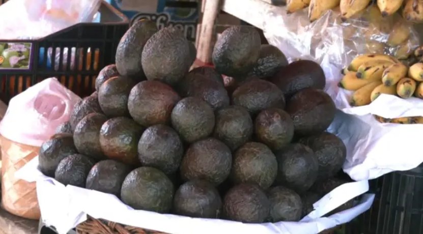Controles ante palta peruana contaminada