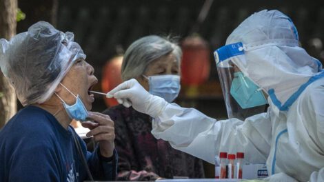 Alarma sanitaria en Hong Kong por fiebre chikungunya