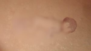 Infante abandonado muerto en Oruro