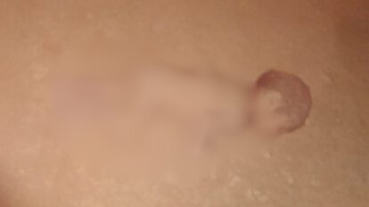 Infante abandonado muerto en Oruro