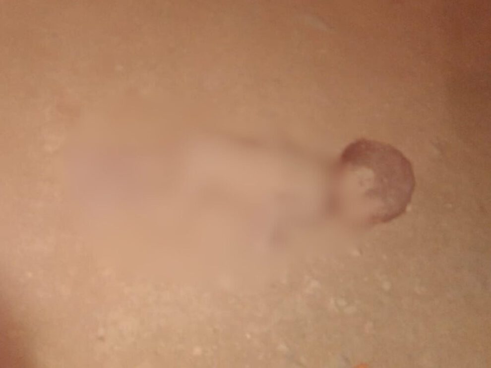 Infante abandonado muerto en Oruro