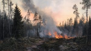 Prevención de incendios forestales ante el cambio climático