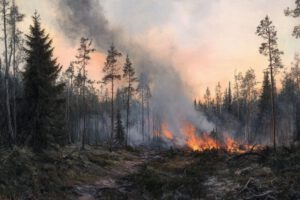Prevención de incendios forestales ante el cambio climático
