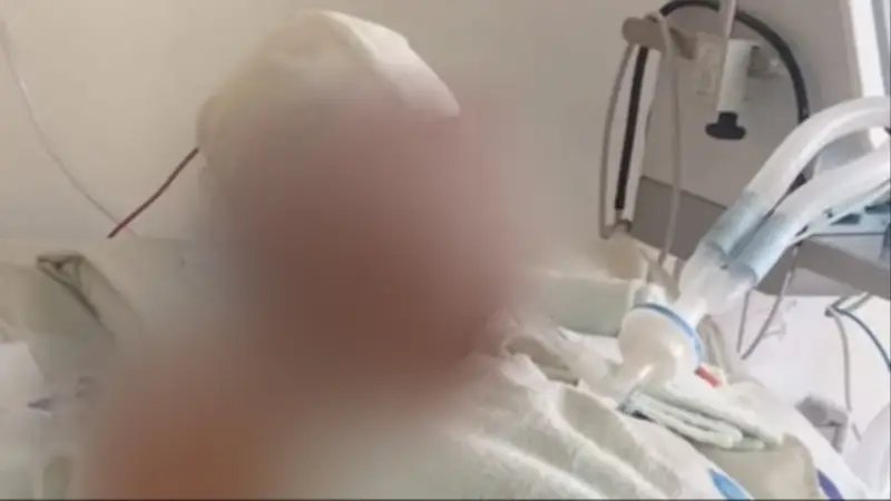 Analy Zurita en estado grave tras ataque de su pareja