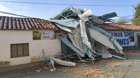 Vientos intensos en Tarija causan daños a árboles y postes