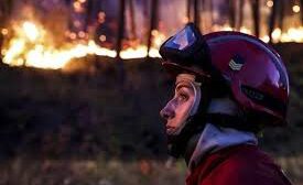 Incendios en Portugal