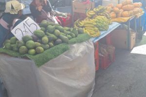 Controles de palta contaminada en La Paz