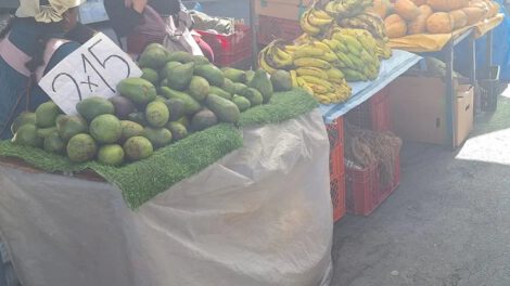 Controles de palta contaminada en La Paz
