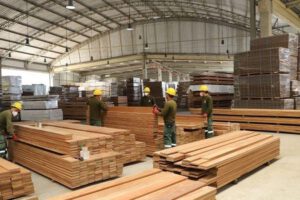 Exportaciones de madera caen más del 60% en el primer semestre de 2025