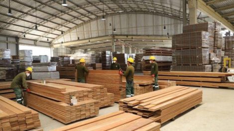 Exportaciones de madera caen más del 60% en el primer semestre de 2025
