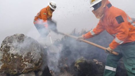 Incendios forestales en Bolivia controlados