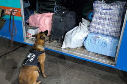 Incautación de marihuana en Cochabamba
