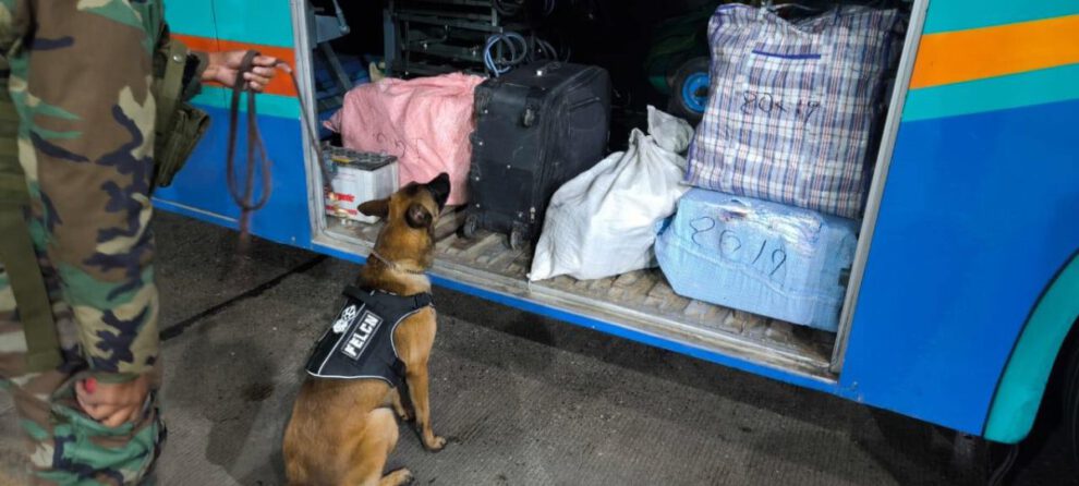 Incautación de marihuana en Cochabamba
