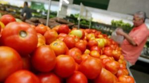 Contrabando de tomate argentino y precios bajos