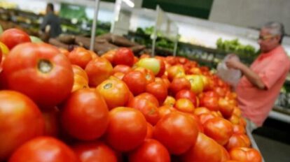 Contrabando de tomate argentino y precios bajos