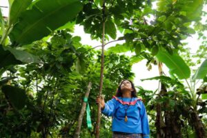 Desarrollo humano resiliente en América Latina y el Caribe
