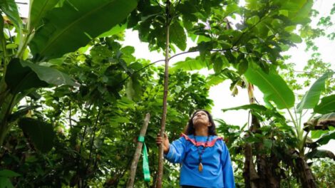 Desarrollo humano resiliente en América Latina y el Caribe