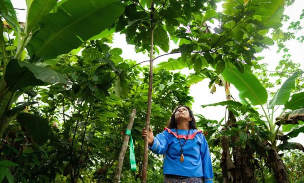 Desarrollo humano resiliente en América Latina y el Caribe