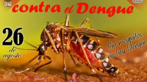 Día Internacional de Lucha Contra el Dengue