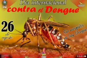Día Internacional de Lucha Contra el Dengue