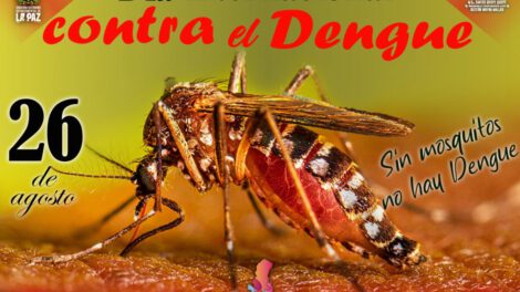 Día Internacional de Lucha Contra el Dengue