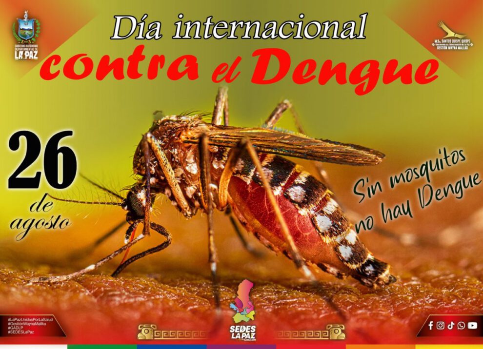 Día Internacional de Lucha Contra el Dengue