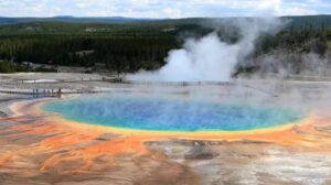 origen de la vida y la síntesis de proteínas