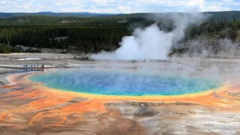 origen de la vida y la síntesis de proteínas