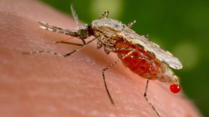 Malaria en el Beni