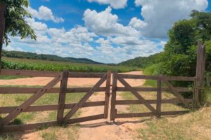 Enriquecimiento ilícito hijo Presidente Arce