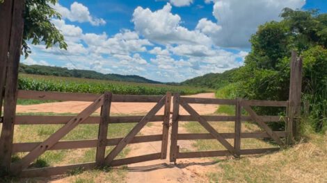 Enriquecimiento ilícito hijo Presidente Arce