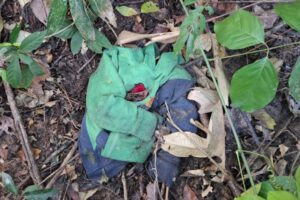 hallazgo de tres cuerpos en el trópico de Cochabamba