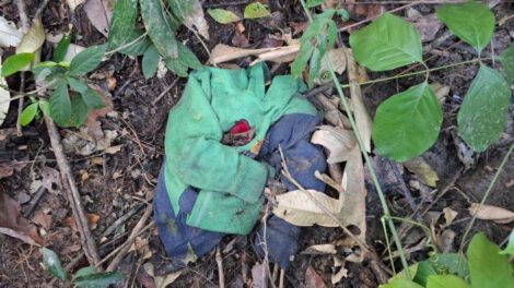 hallazgo de tres cuerpos en el trópico de Cochabamba