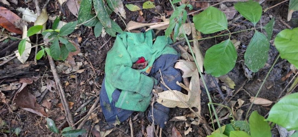 hallazgo de tres cuerpos en el trópico de Cochabamba