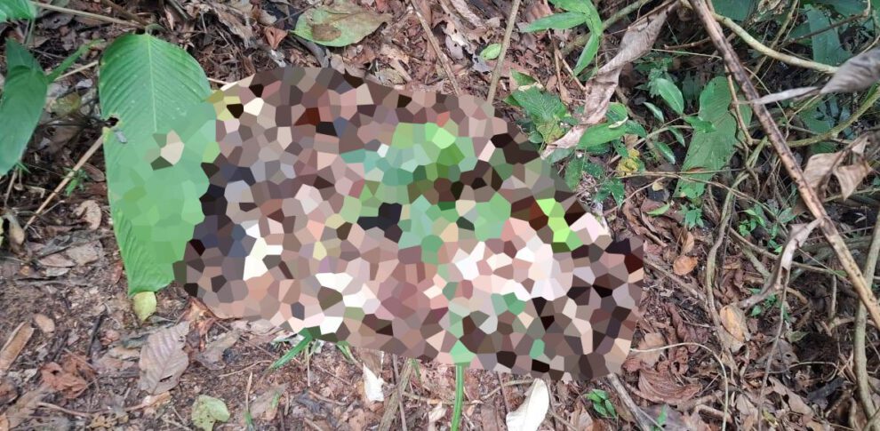 Hallan cuatro cadáveres de una familia en Río Blanco