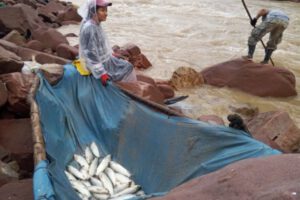 Veda de pesca en Tarija