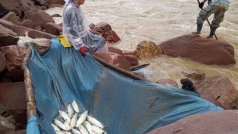 Veda de pesca en Tarija