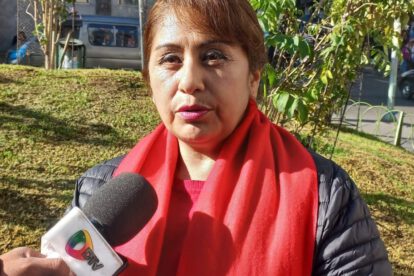 Ruth Nina detención domiciliaria en caso de instigación pública