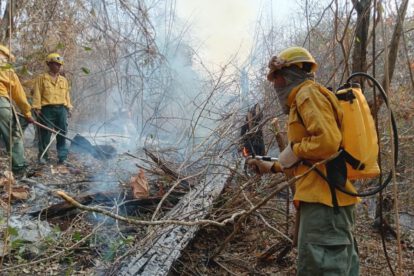 Incendios forestales en Bolivia controlados por las Fuerzas Armadas
