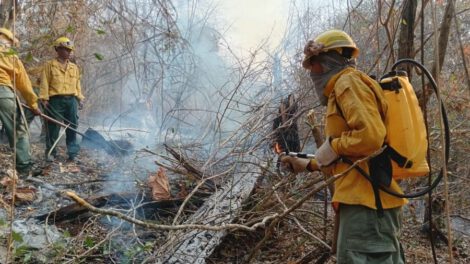 Incendios forestales en Bolivia controlados por las Fuerzas Armadas