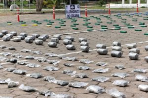 Incautación de droga en operativos de la Felcn