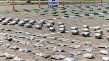 Incautación de droga en operativos de la Felcn