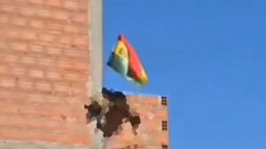 biocidio de un zorro andino hallado en Cochabamba