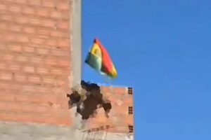 biocidio de un zorro andino hallado en Cochabamba